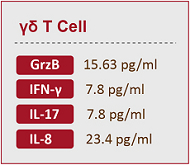 gamma delta T cell